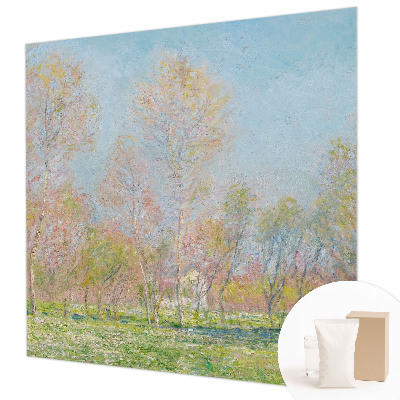 Fotografická tapeta na vliese Jarný park