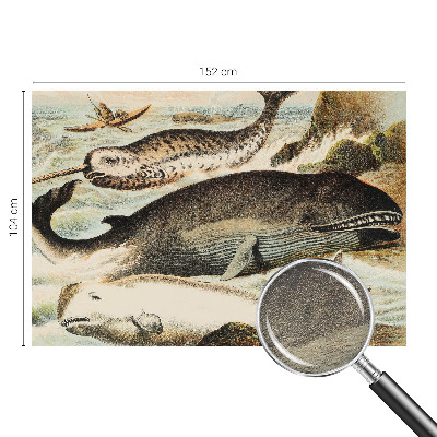 Fototapeta na stenu Morskí obri