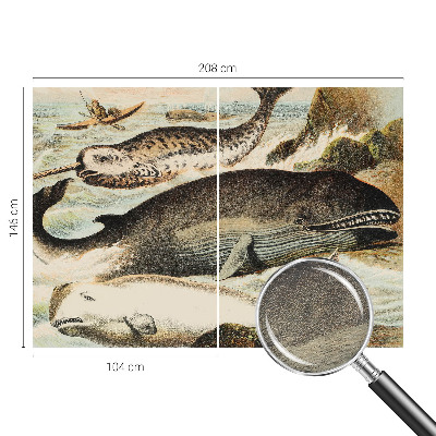 Fototapeta na stenu Morskí obri