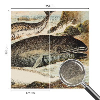 Fototapeta na stenu Morskí obri