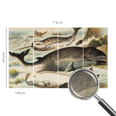 Fototapeta na stenu Morskí obri