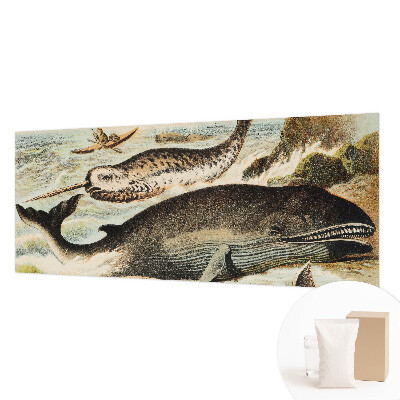 Fototapeta na stenu Morskí obri