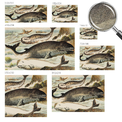 Fototapeta na stenu Morskí obri