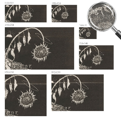 Vliesová tapeta Nostalgická slnečnica