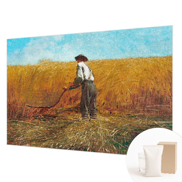 Fototapeta do spálne Zber na slnku