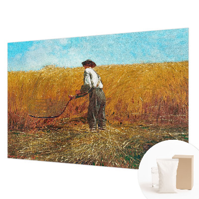 Fototapeta do spálne Zber na slnku