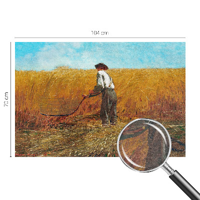 Fototapeta do spálne Zber na slnku