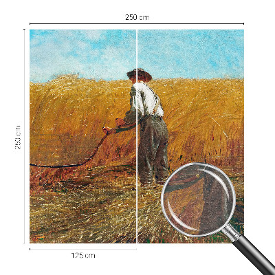 Fototapeta do spálne Zber na slnku