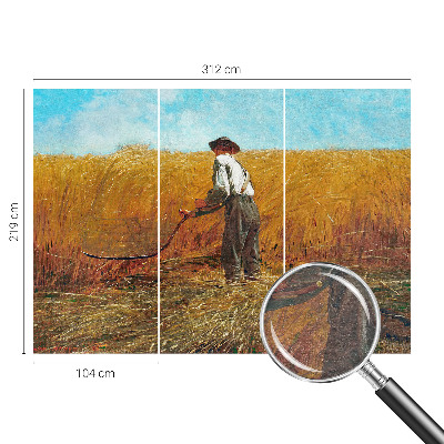 Fototapeta do spálne Zber na slnku