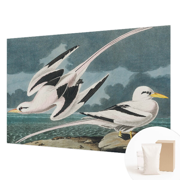 Luxusná tapeta Vtáky pri mori