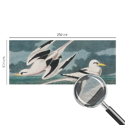 Luxusná tapeta Vtáky pri mori