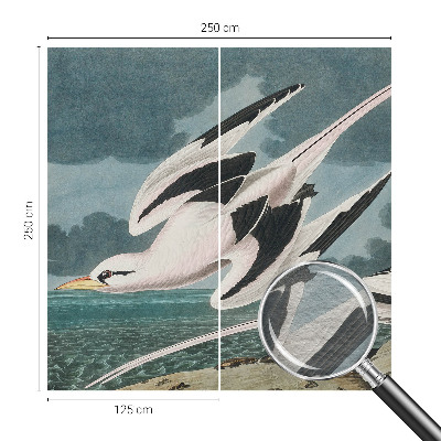 Luxusná tapeta Vtáky pri mori