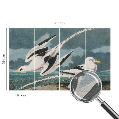 Luxusná tapeta Vtáky pri mori