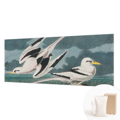 Luxusná tapeta Vtáky pri mori