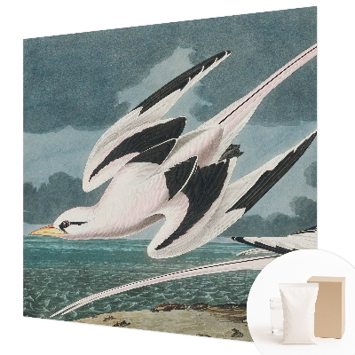 Luxusná tapeta Vtáky pri mori