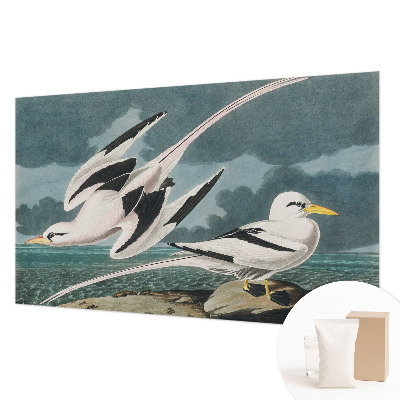 Luxusná tapeta Vtáky pri mori