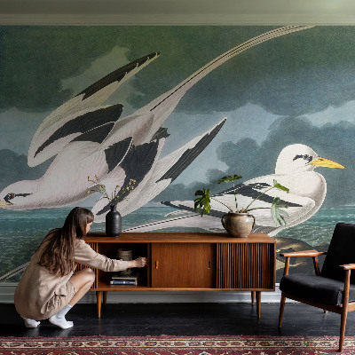 Luxusná tapeta Vtáky pri mori