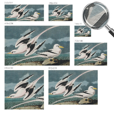 Luxusná tapeta Vtáky pri mori