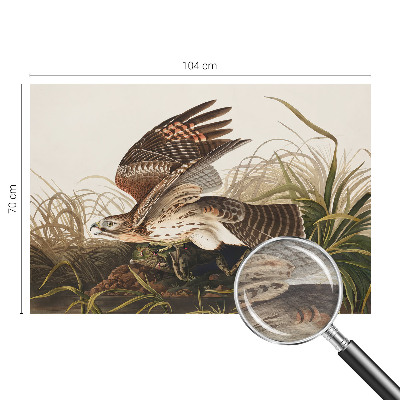 Tapeta na stenu Okrídlená kráska