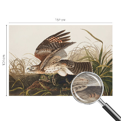 Tapeta na stenu Okrídlená kráska