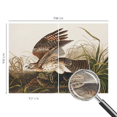 Tapeta na stenu Okrídlená kráska