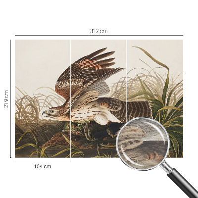 Tapeta na stenu Okrídlená kráska