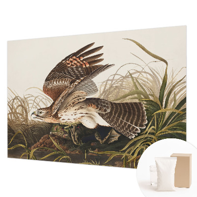 Tapeta na stenu Okrídlená kráska