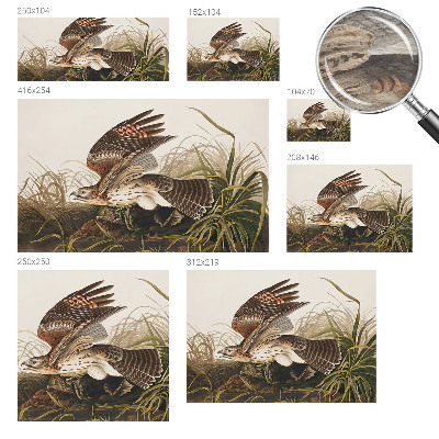 Tapeta na stenu Okrídlená kráska