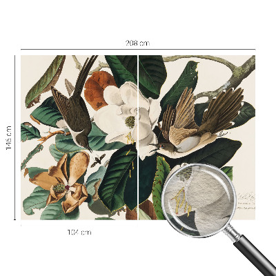 Tapeta Vtáky magnólie