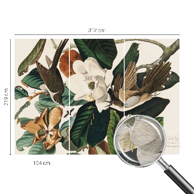 Tapeta Vtáky magnólie