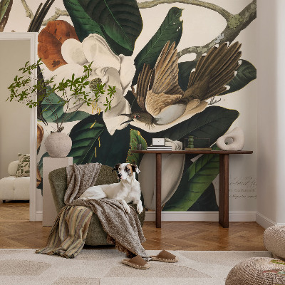 Tapeta Vtáky magnólie