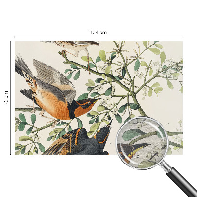 Fototapeta na stenu Farebné vtáky