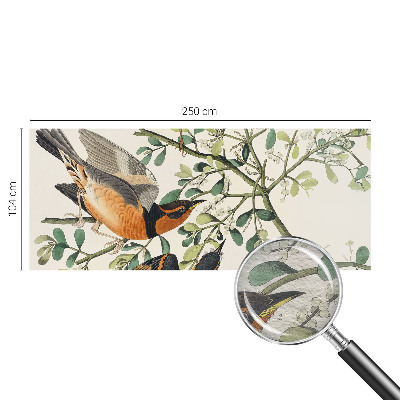 Fototapeta na stenu Farebné vtáky