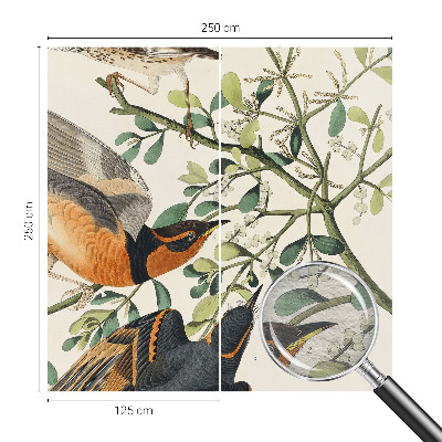 Fototapeta na stenu Farebné vtáky