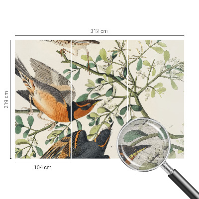 Fototapeta na stenu Farebné vtáky