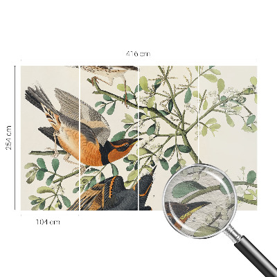 Fototapeta na stenu Farebné vtáky