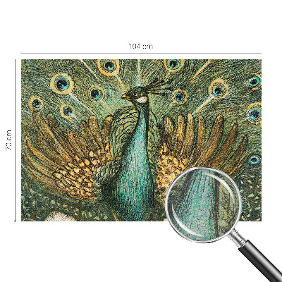 Fototapeta Majestátny páv