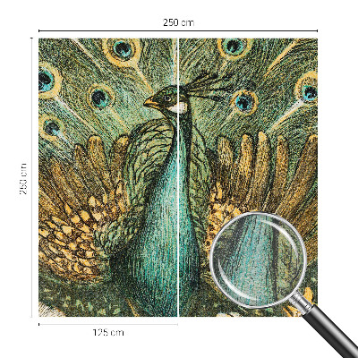 Fototapeta Majestátny páv