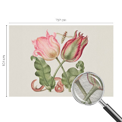 Vliesová tapeta na stenu Tulipánová krása