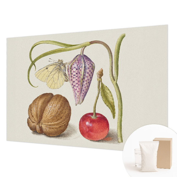 Vliesová fototapeta do obývačky Motýlia rastlina