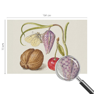 Vliesová fototapeta do obývačky Motýlia rastlina