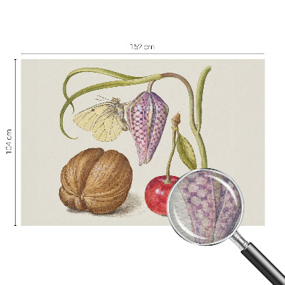 Vliesová fototapeta do obývačky Motýlia rastlina