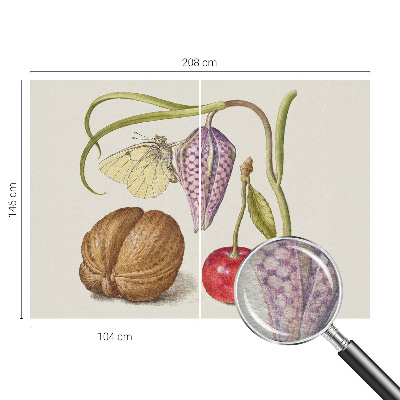 Vliesová fototapeta do obývačky Motýlia rastlina