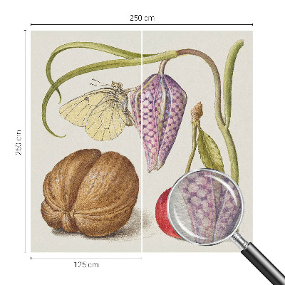 Vliesová fototapeta do obývačky Motýlia rastlina