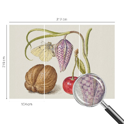 Vliesová fototapeta do obývačky Motýlia rastlina