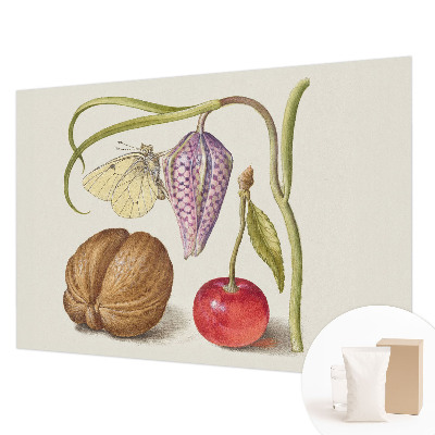 Vliesová fototapeta do obývačky Motýlia rastlina