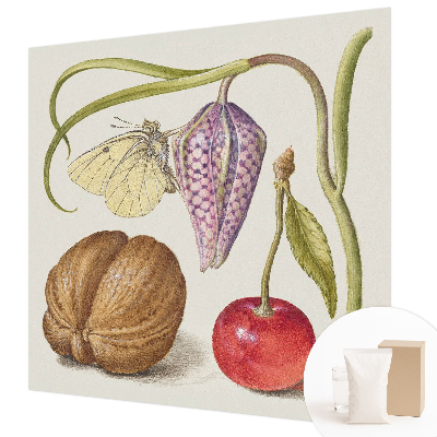 Vliesová fototapeta do obývačky Motýlia rastlina