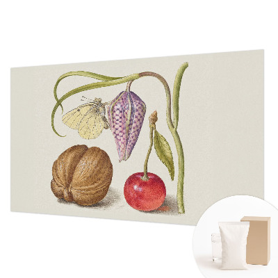 Vliesová fototapeta do obývačky Motýlia rastlina