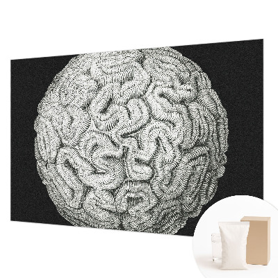 Dekoratívna fototapeta na stenu Sférická štruktúra