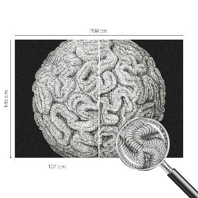 Dekoratívna fototapeta na stenu Sférická štruktúra